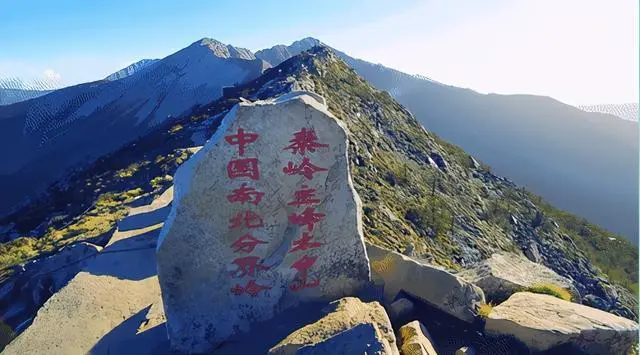 西黄山富硒茶基地