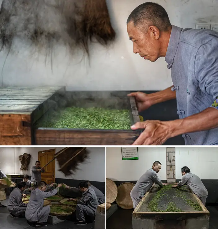 蒋家坡恩施富硒茶