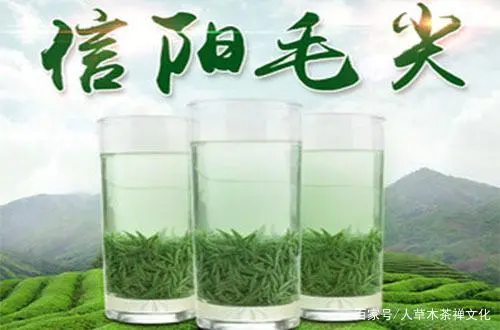 湖北富硒贡茶茗茶