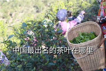 中国最出名的茶叶在哪里