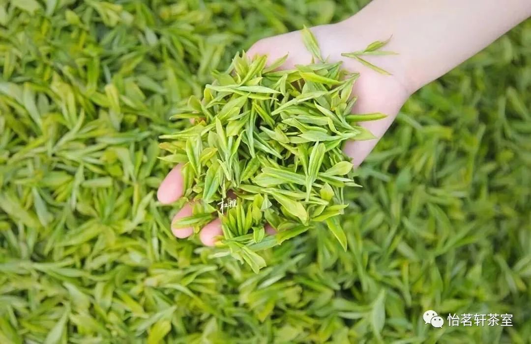 恩施富硒茶有点苦