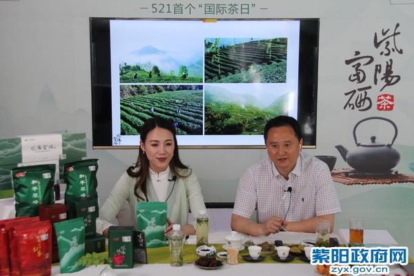 紫阳富硒茶的荣誉