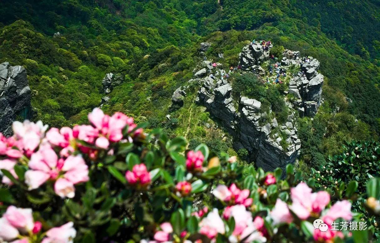 高山富硒茶的传说