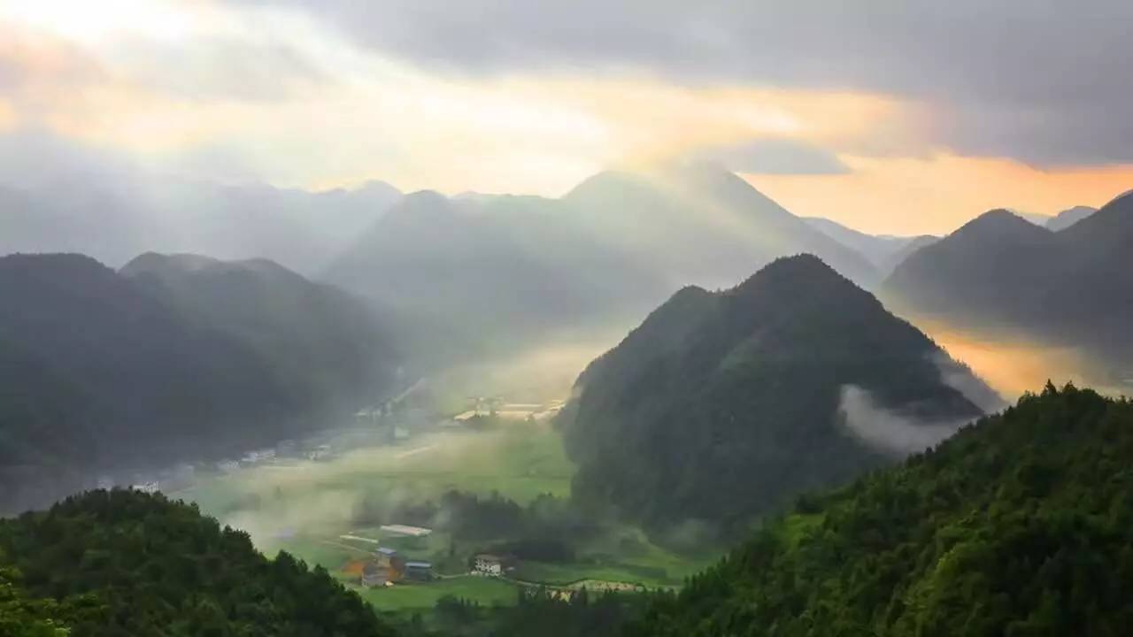 恩施龙马区富硒茶