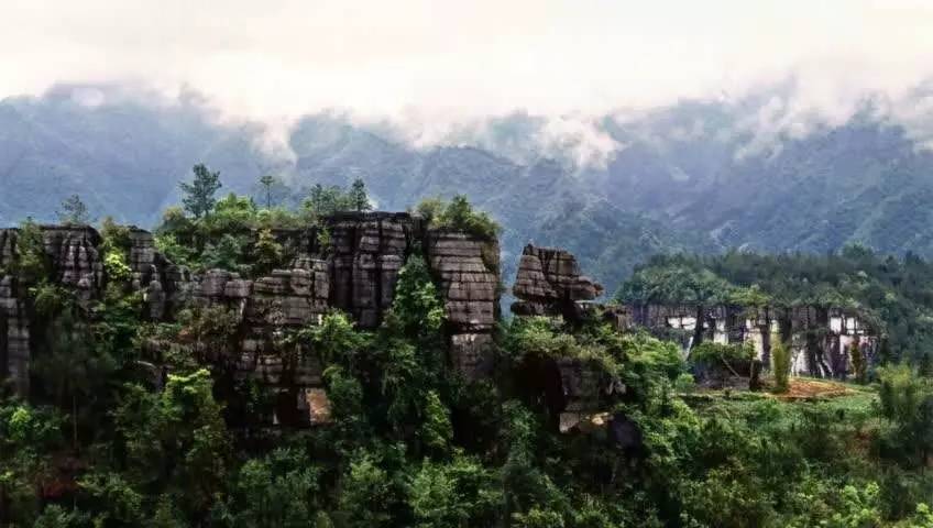 恩施龙马区富硒茶