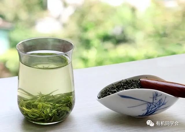 富硒贡茶云雾茗茶