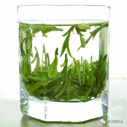 富硒贡茶云雾茗茶