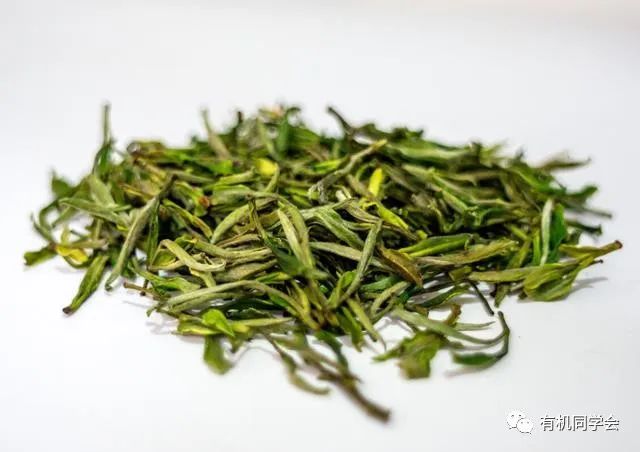 富硒贡茶云雾茗茶