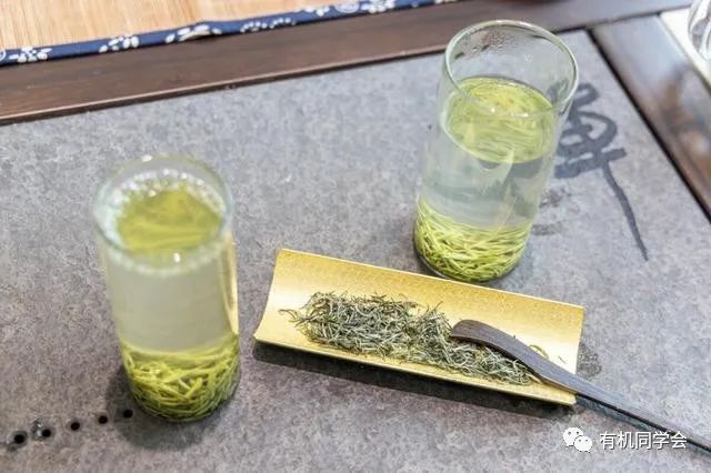 富硒贡茶云雾茗茶