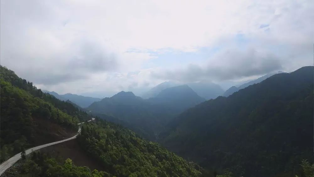 富硒茶与恩施玉露