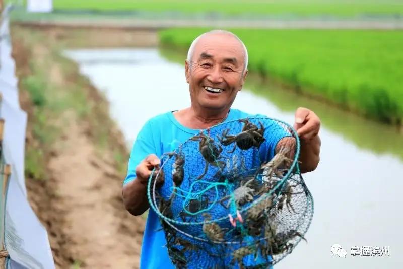 广西富硒茶饼价格