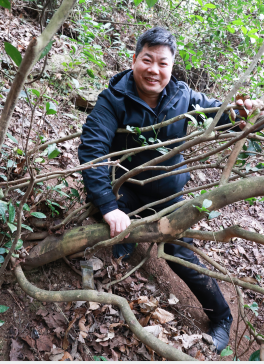 紫阳富硒茶清盛魁