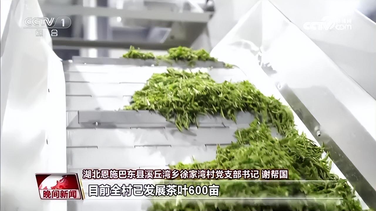 普洱富硒茶在哪里