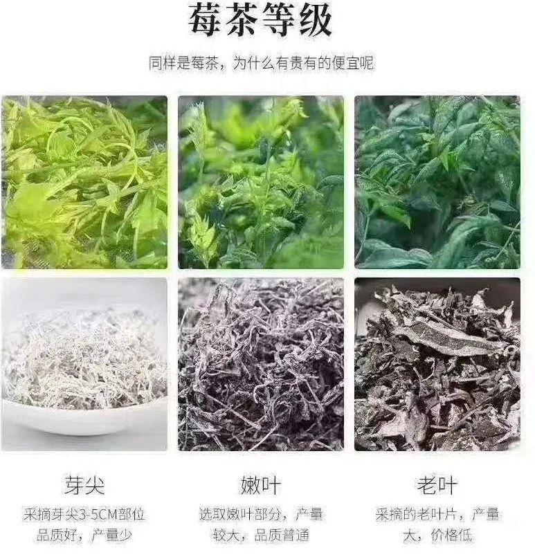 莓茶是富硒藤茶吗