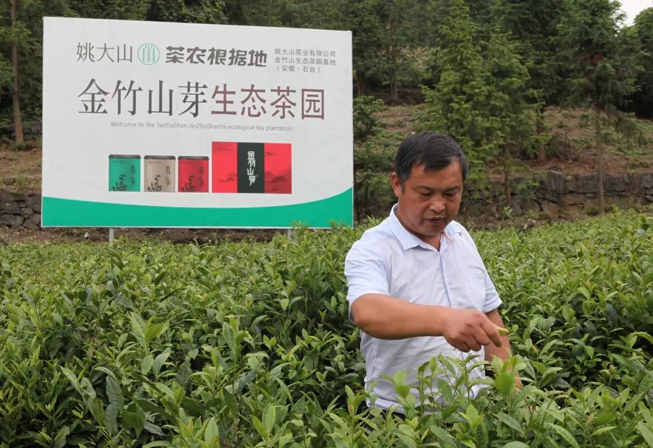 石台七都镇富硒茶