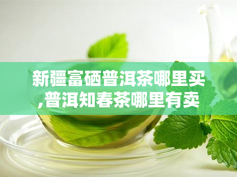 新疆富硒普洱茶哪里买,普洱知春茶哪里有卖