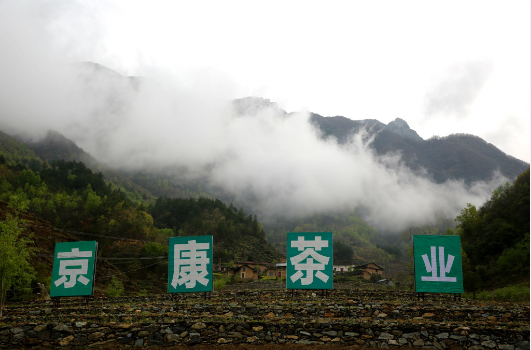 富硒茶陈鸿昌场地