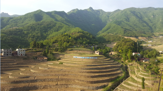 富硒茶陈鸿昌场地