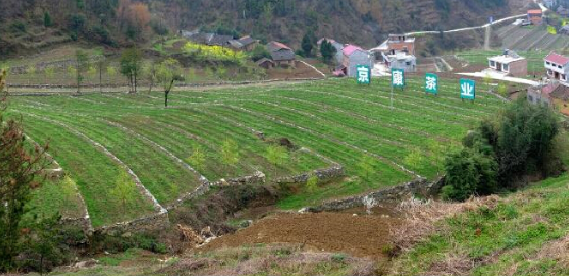 富硒茶陈鸿昌场地