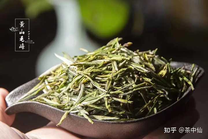 老谢家茶富硒雀舌