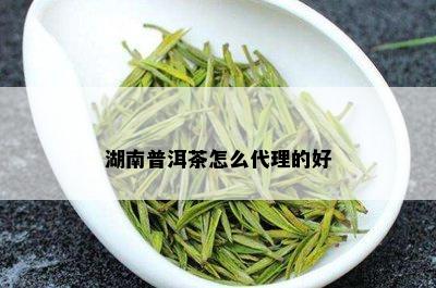 湖南普洱茶怎么代理的好