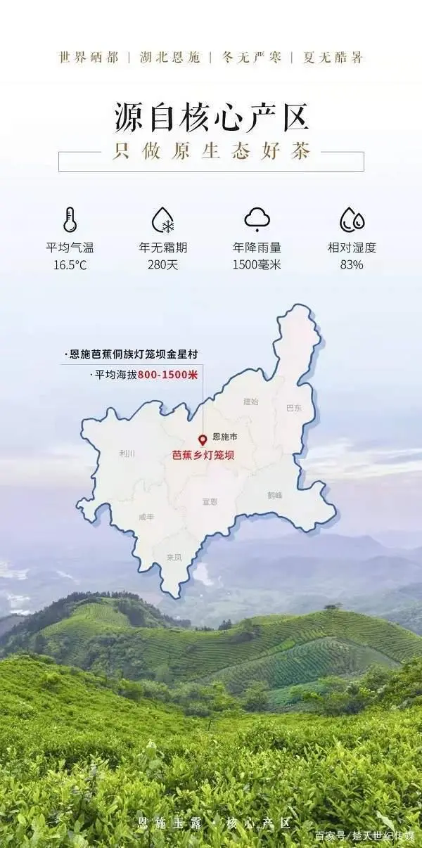 富硒贡茶是是什么