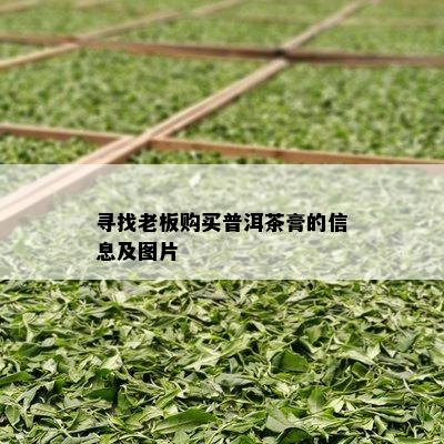 寻找老板购买普洱茶膏的信息及图片