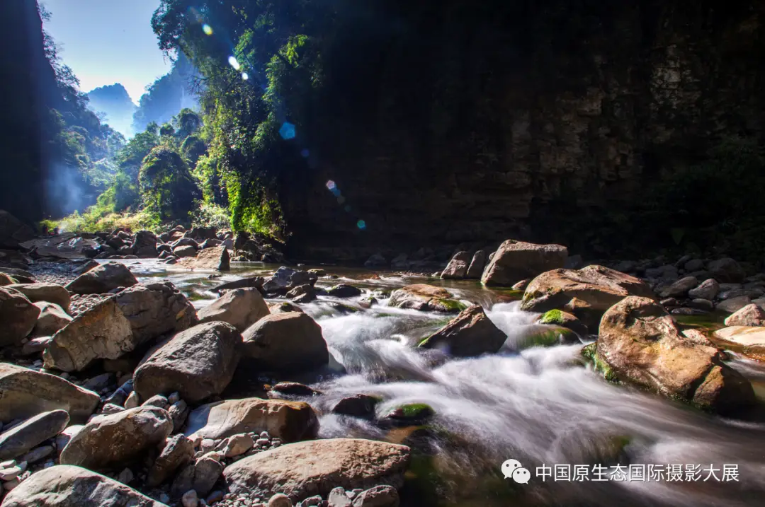 贵州雷神山富硒茶