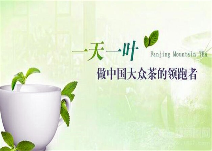 一天一叶茶叶加盟