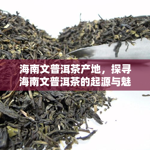 海南文普洱茶产地，探寻海南文普洱茶的起源与魅力