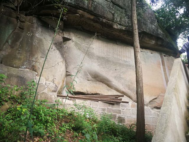 那个地方富硒茶好