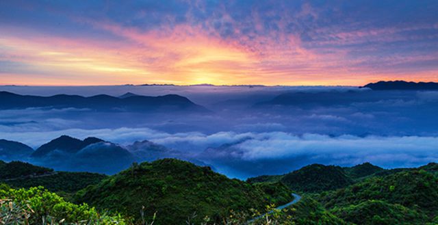 那个地方富硒茶好