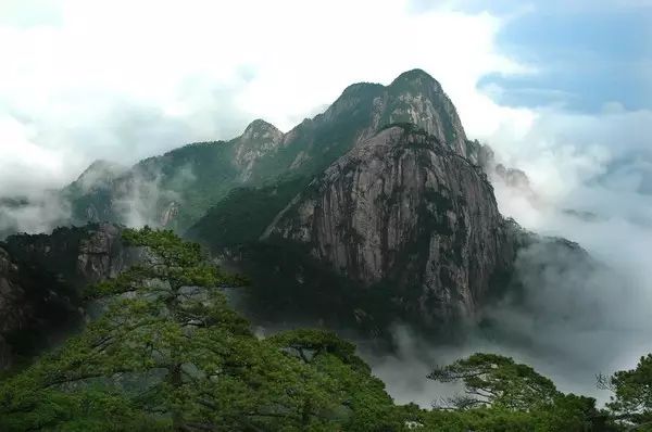 仙寓山石台富硒茶