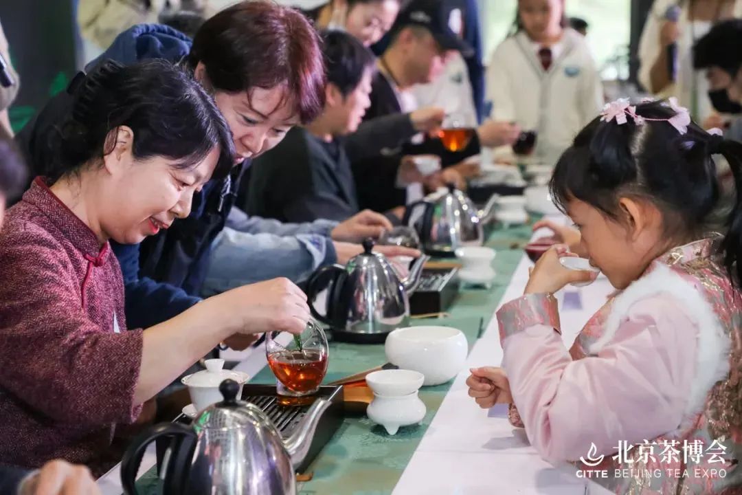 富硒老白茶小茶饼