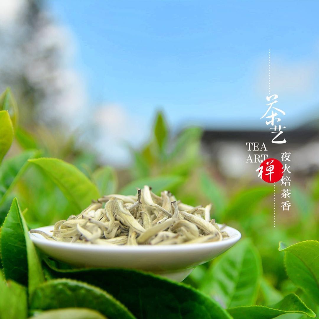 重庆富硒茶供应商