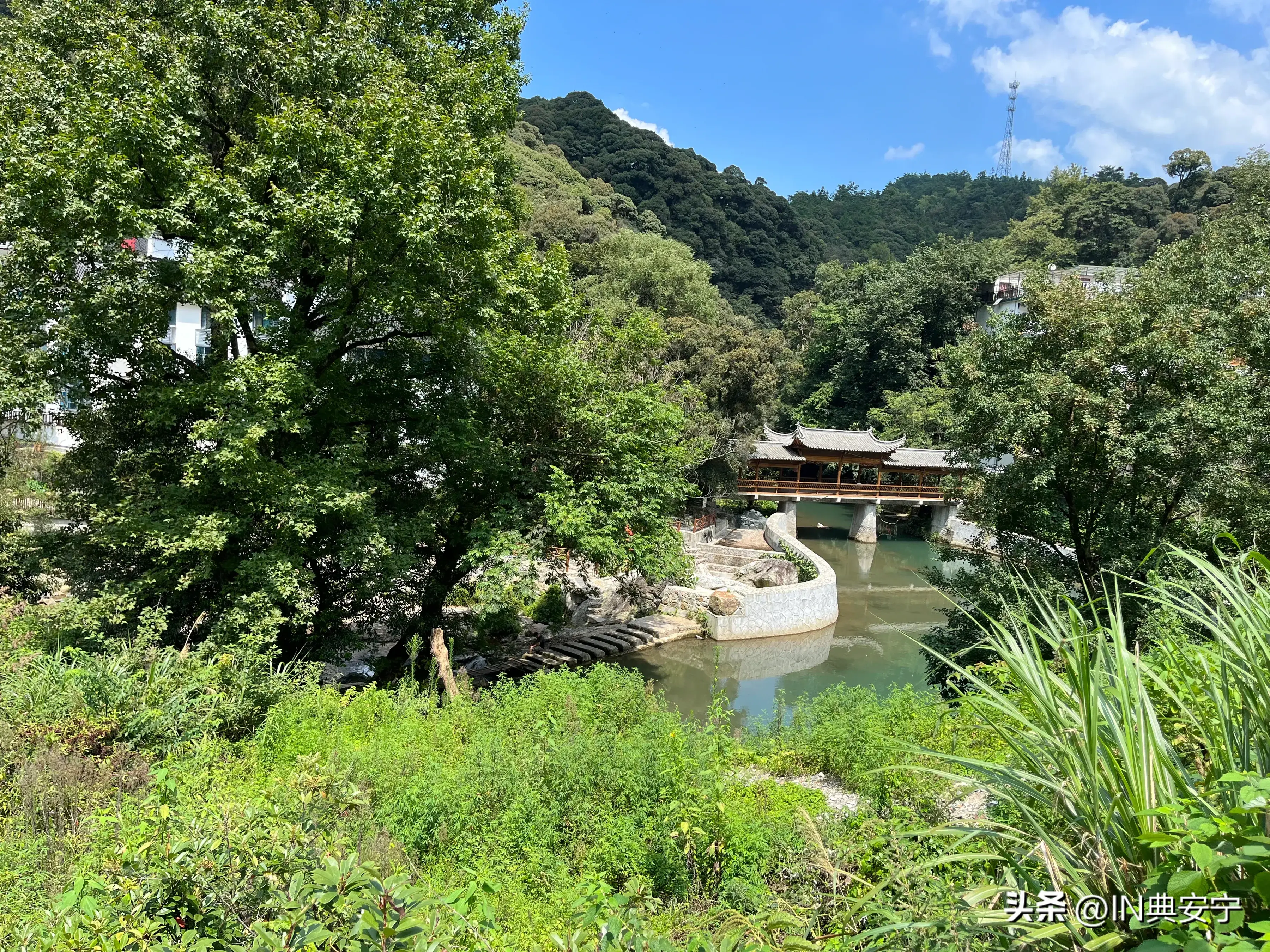 石台仙寓山富硒茶