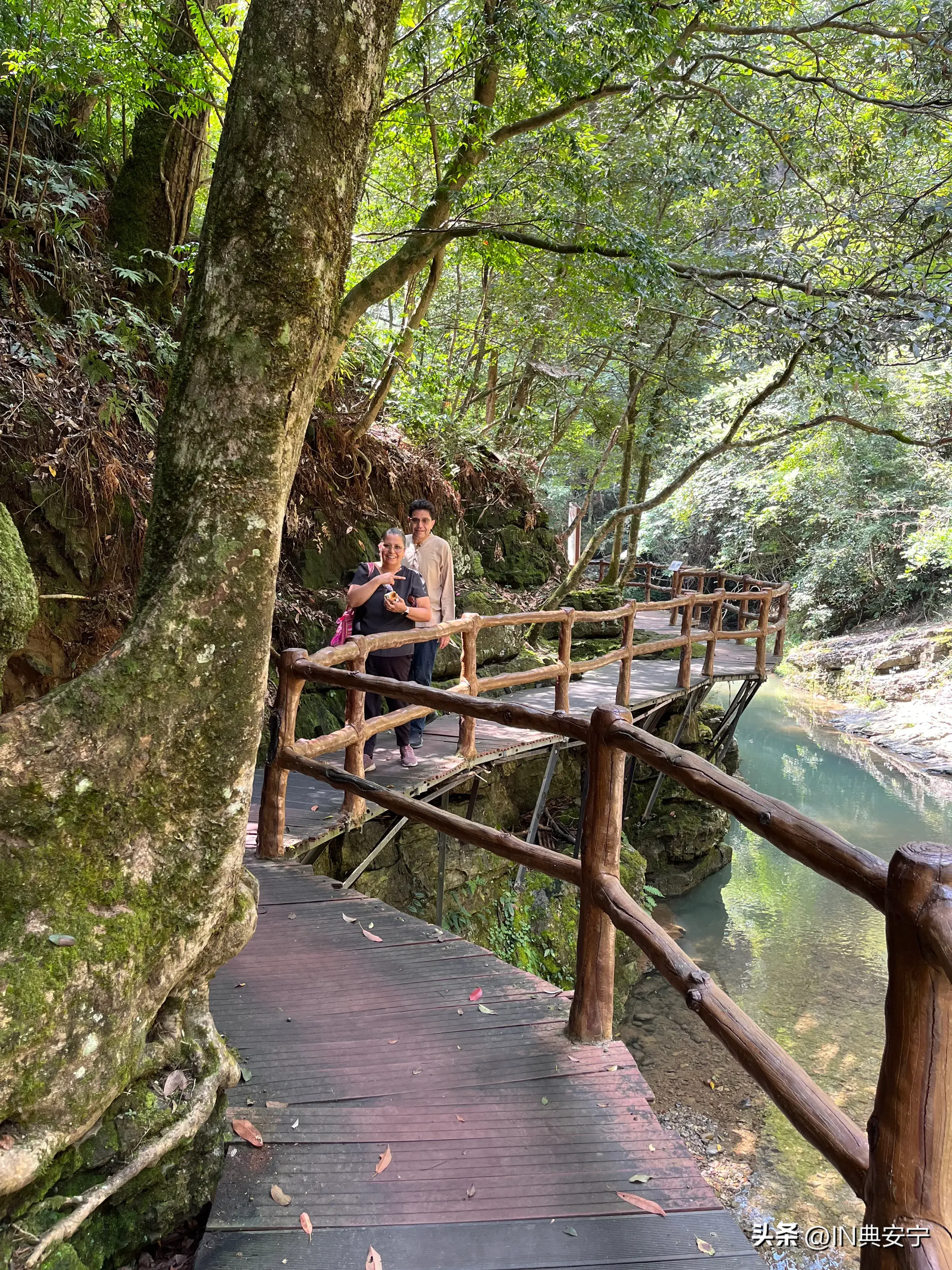 石台仙寓山富硒茶