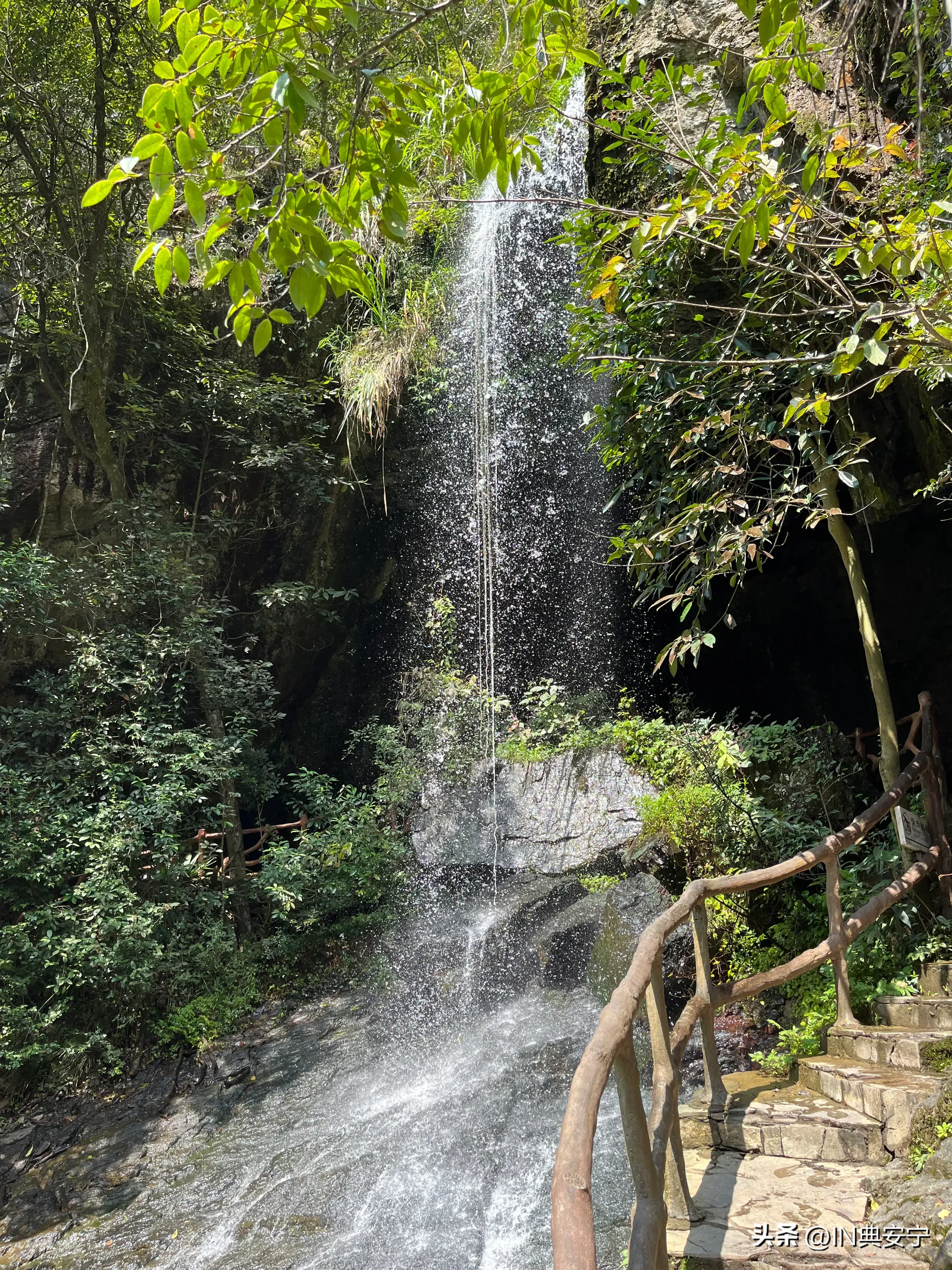 石台仙寓山富硒茶