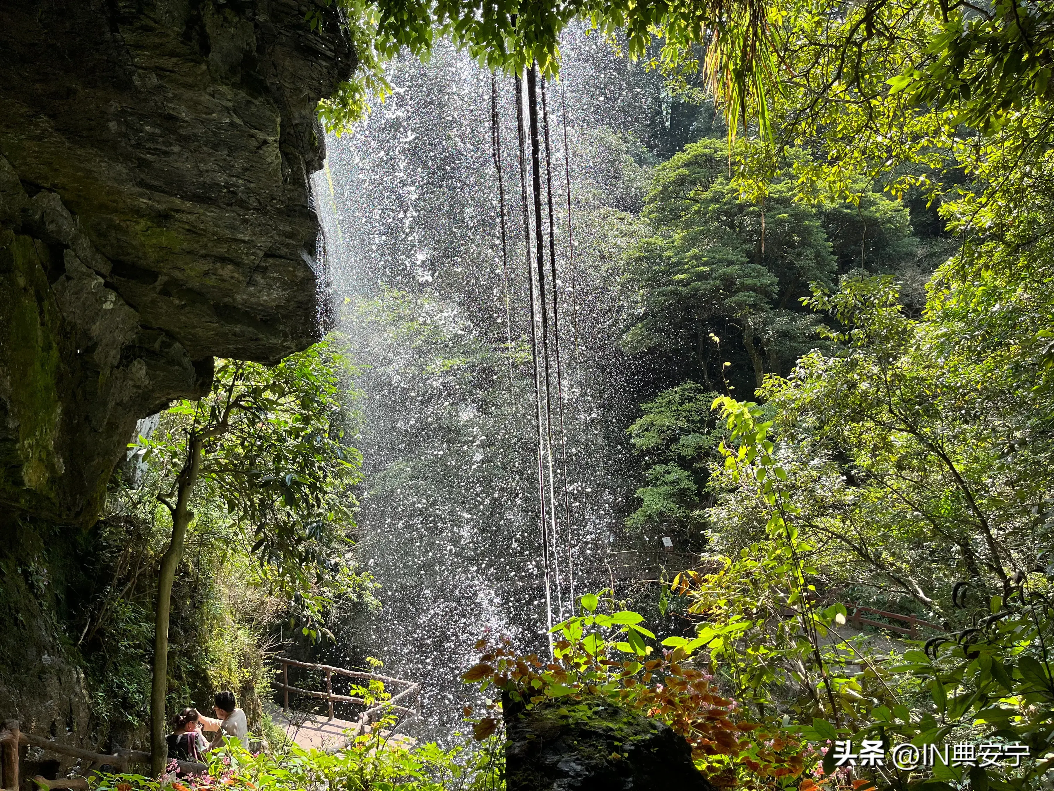 石台仙寓山富硒茶