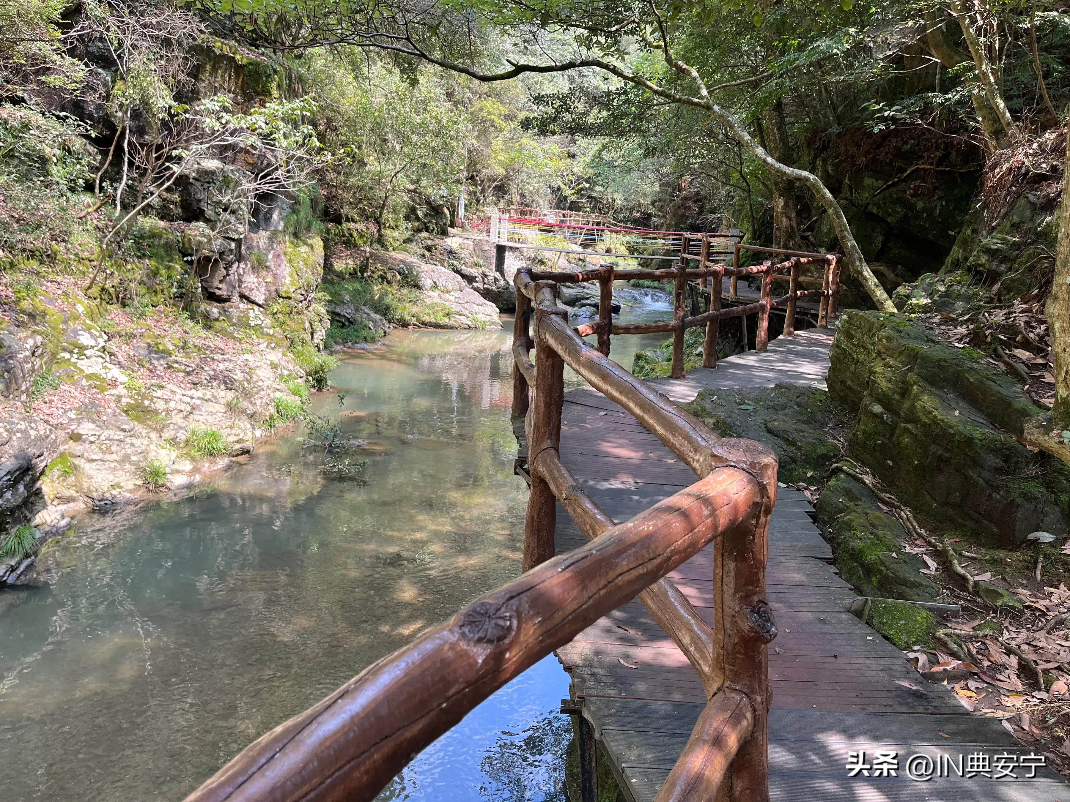 石台仙寓山富硒茶