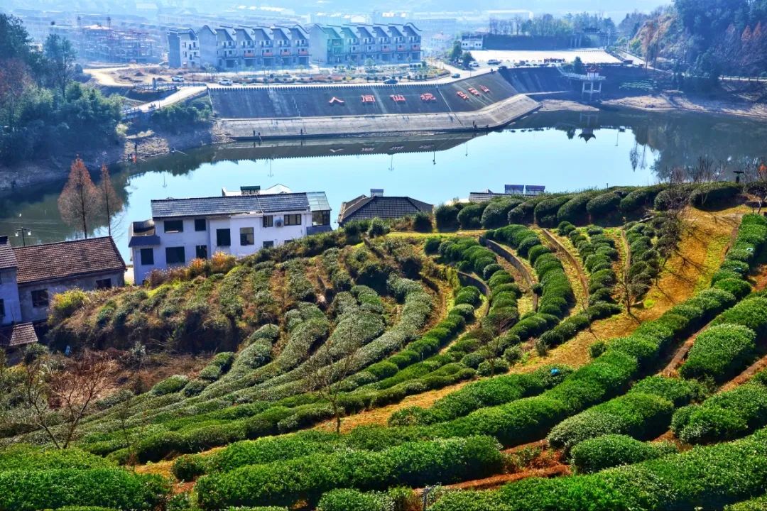 湖北省富硒茶标准