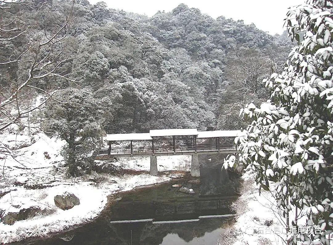 石台仙寓山富硒茶