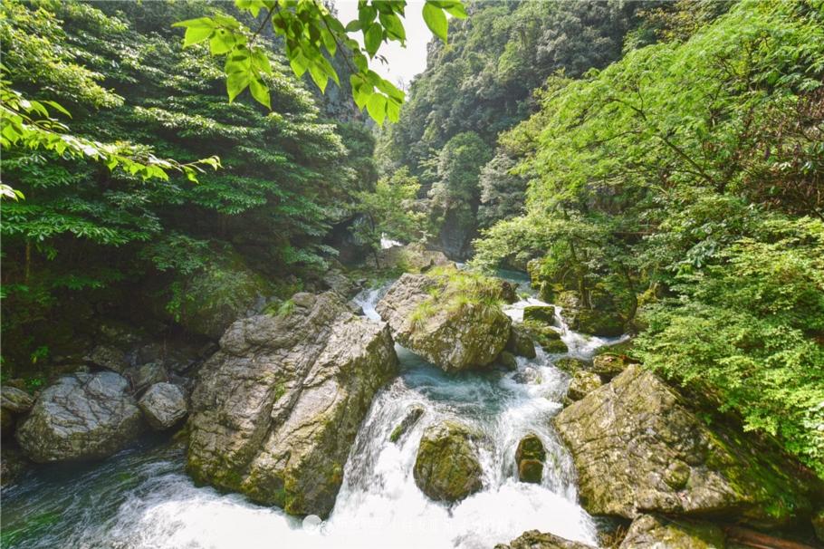 石台仙寓山富硒茶