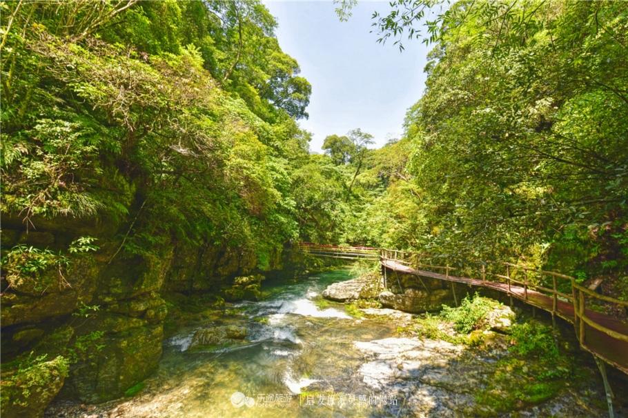 石台仙寓山富硒茶