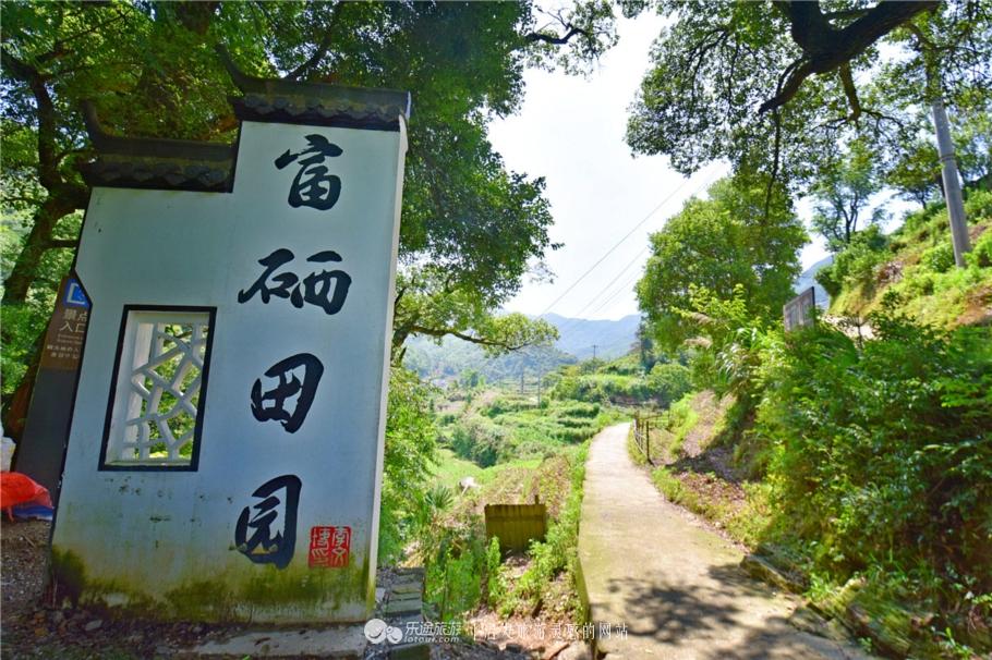 石台仙寓山富硒茶