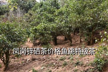 凤岗锌硒茶价格鱼跳特级茶