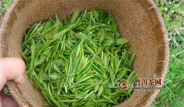 紫阳富硒茶和毛尖简介