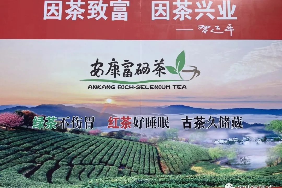 全国供销社富硒茶