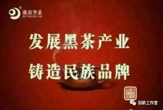 茶农直销网富硒茶