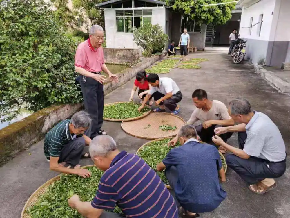 梅州市富硒有机茶